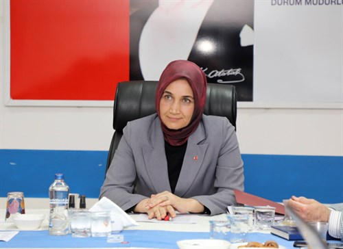 Sayın Valimiz Doç.Dr. Kübra GÜRAN YİĞİTBAŞI'nın Başkanlık ettiği Jeotermal Havzaların Projeksiyonu ile İlgili Toplantı Gerçekleştirildi